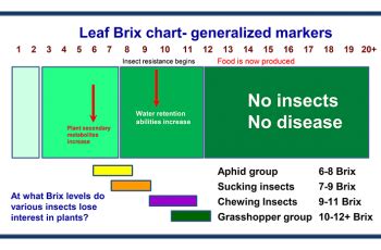 leaf brix plants